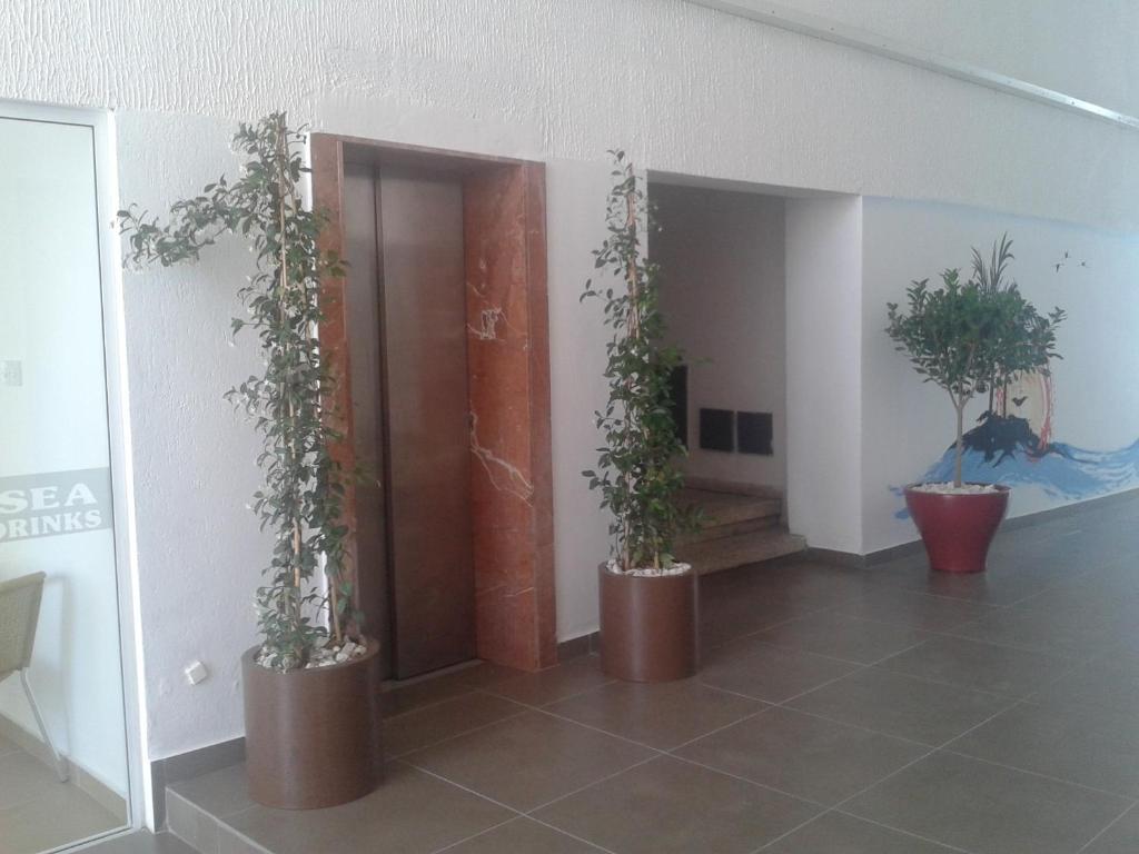 Palm Sea Beach Hotel Apartments Larnaca Exterior photo